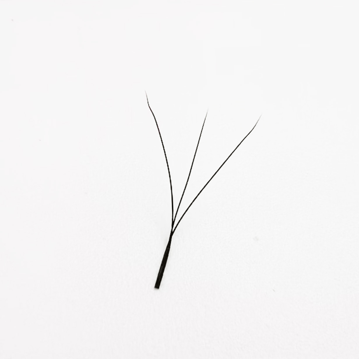 3d W Eyelashes Lash Extension  - đánh giá và giá Red Clover Flower